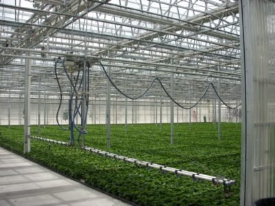 Greenhouse Equipment: Irrigation Systems – Watering Booms