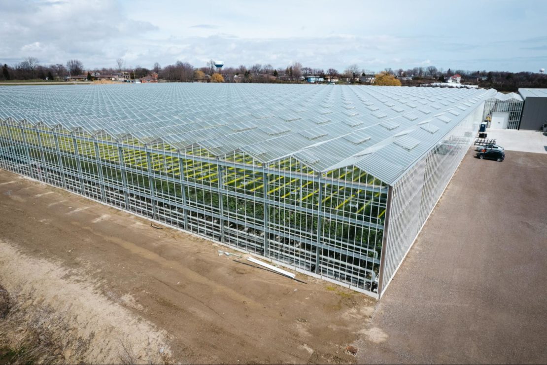 How Much Does It Cost To Build A Commercial Greenhouse Prospiant   Image10 5 1110x740 