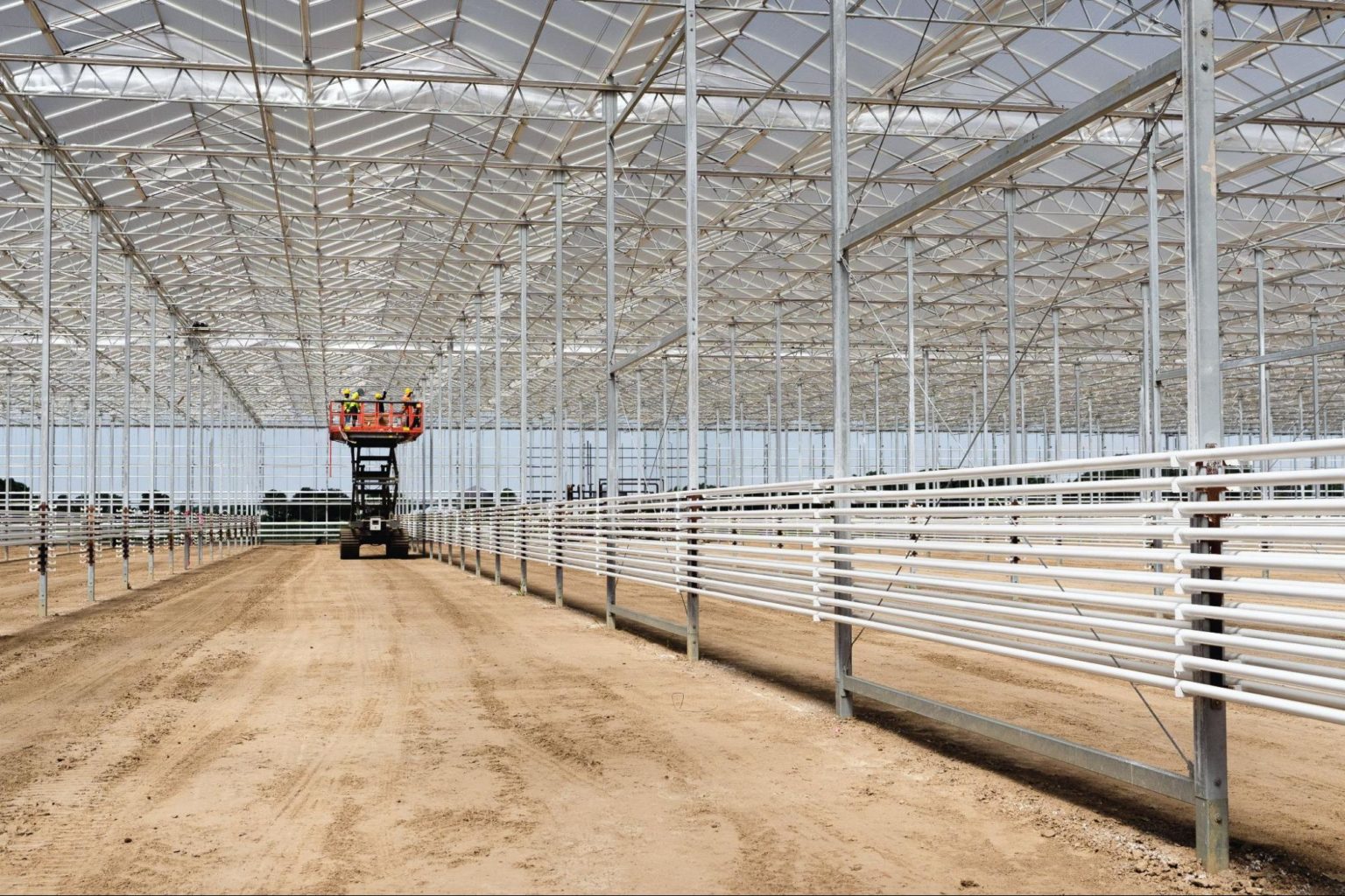 how-much-does-it-cost-to-build-a-commercial-greenhouse-prospiant