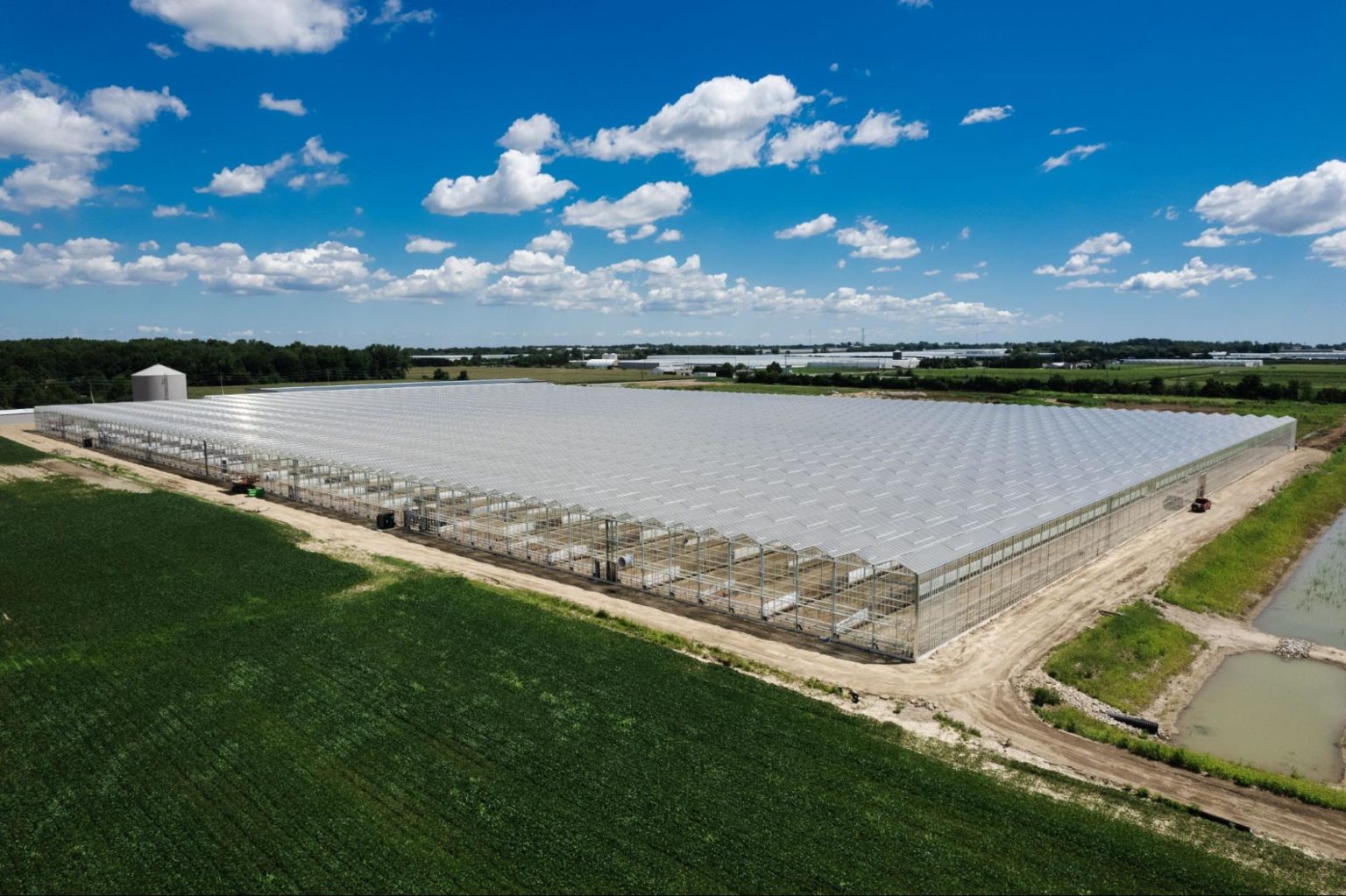 how-much-does-it-cost-to-build-a-commercial-greenhouse-prospiant