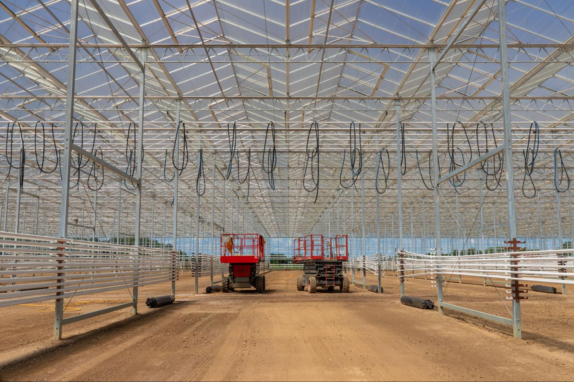 how-much-does-it-cost-to-build-a-commercial-greenhouse-prospiant