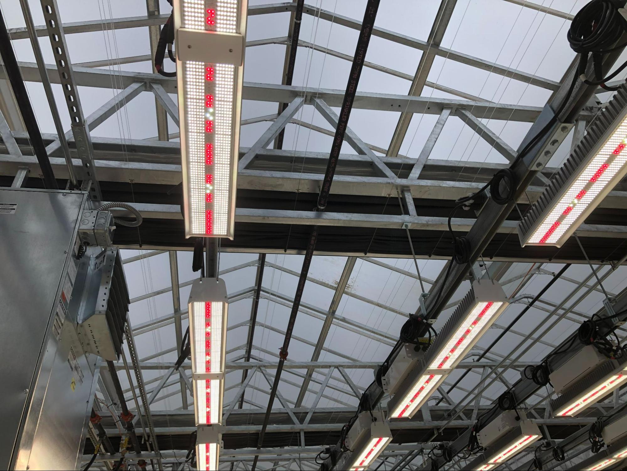 greenhouse-lighting-fixtures-prospiant