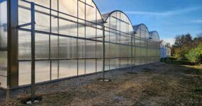 Outside view of Poly Arch greenhouses at Tropical Foliage Plants.