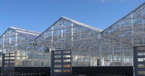 Three gutter-connected Vail greenhouses with 30-foot wide bays and overhead doors