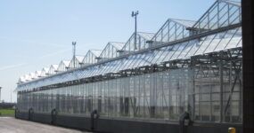 Venlo greenhouse with sidewall vent under gables