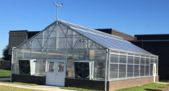 Greenhouse Grants for Schools: How to Fund Your School Greenhouse